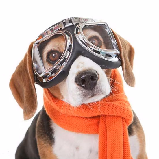 Hot Sale UV Protection Dog Glasses Summer Outdoor Dog Goggles Sunglasses Pet Accessories